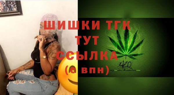 молекула духа Тотьма