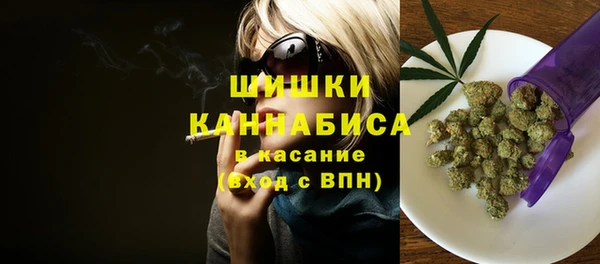 прущая мука Няндома