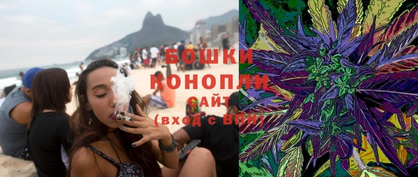 PSILOCYBIN Осинники