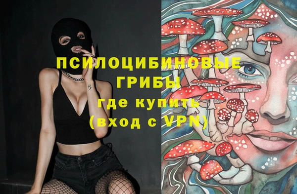 PSILOCYBIN Осинники