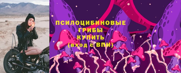 mix Ельня